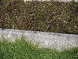 image of grave number 798359